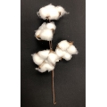 Cotton Flower 11" (4)